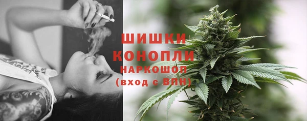 мдпв Горняк
