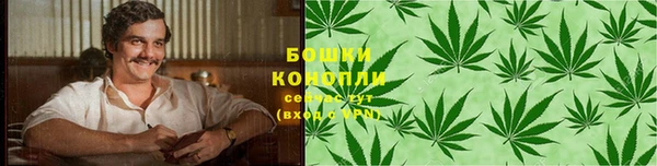 мдпв Горняк