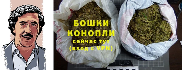соль ск Горно-Алтайск
