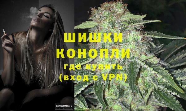 соль ск Горно-Алтайск