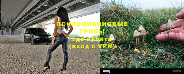 мдпв Горняк